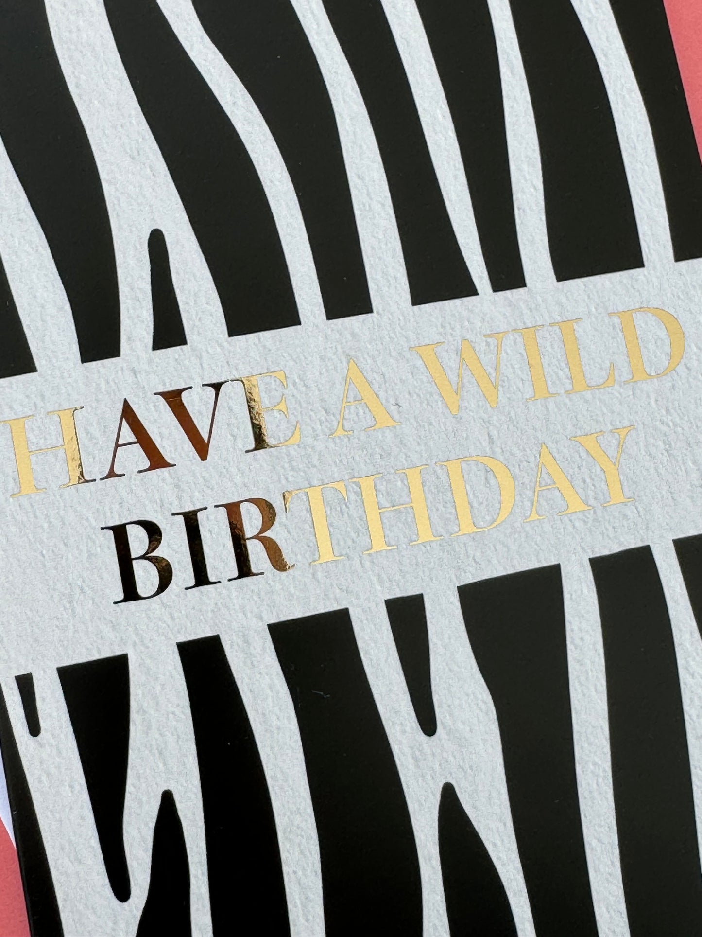 Wild Birthday Zebra Card
